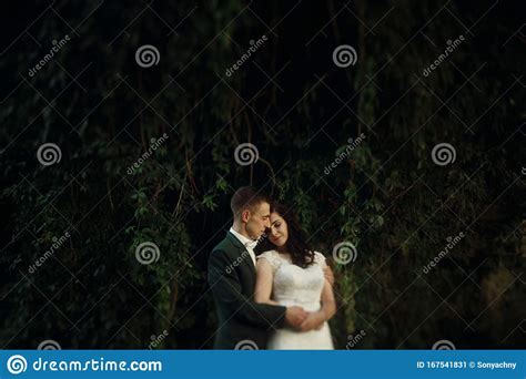 Happy Romantic Newlywed Couple Hugging Outdoors Handsome Groom