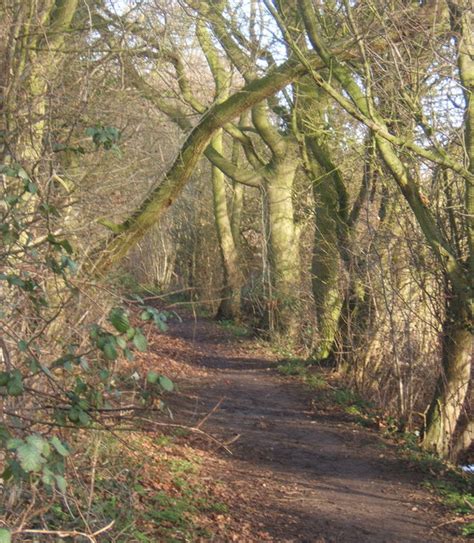 The Causeway A Path Between Needham © Andrew Hill Geograph