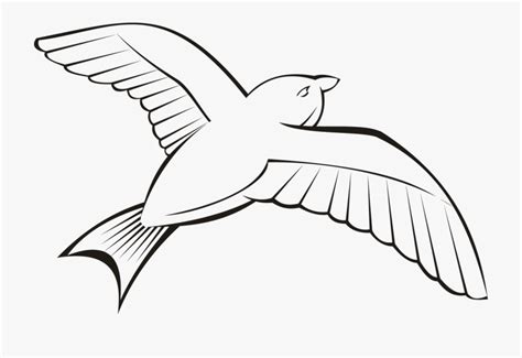 Birds Outline Clipart 10 Free Cliparts Download Images On Clipground 2024