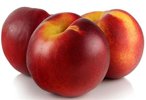 Nectarine Fruit Properties And Benefits Of Nectarines