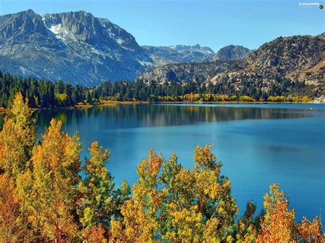 Viewes Autumn Lake Trees Mountains For Desktop Wallpapers 1920x1440