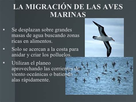 Comentario:la migracion es cuando una persona va de un lugar a otro por necesidad las cuales son economia,recursos. Las migraciones