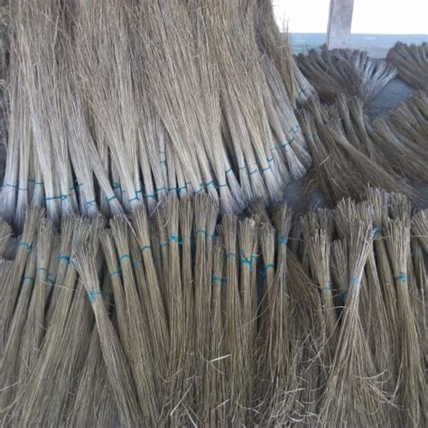 Coconut Broom Stick For Cleaning Feature Long Lasting Reliable