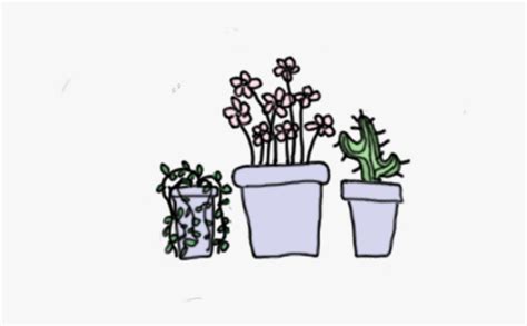 Plants Cactus Succulent Drawing Pastel Cute Aesthetic Plants