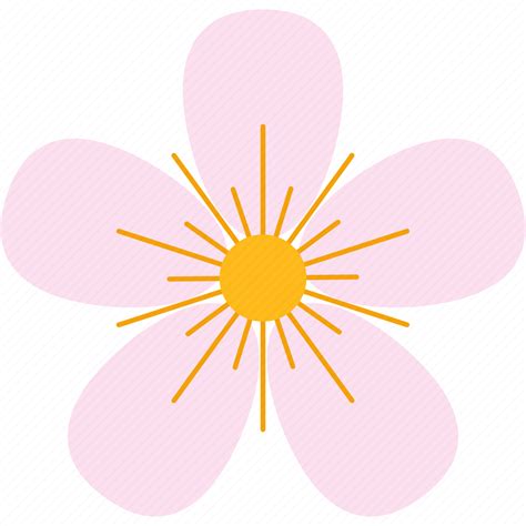 Blossom Cherry Festival Flower Pink Sakura Season Icon Download