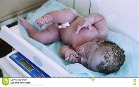 Newborn Baby Cry Hospital Stock Footage Videos Stock Videos