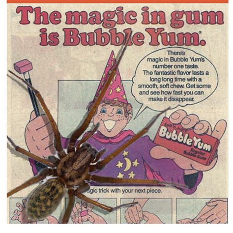 Bubble Yum Contained Spider Eggs R GenX