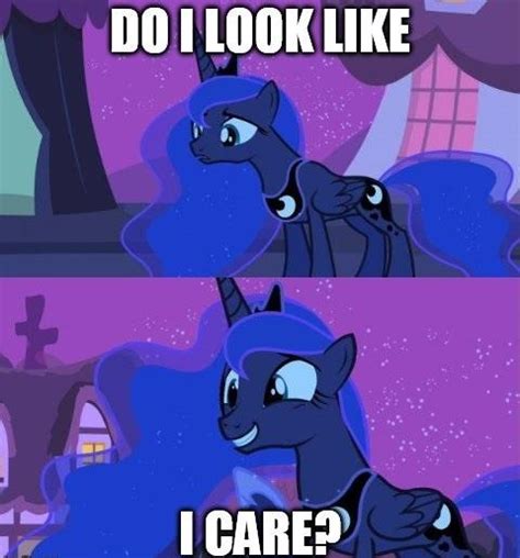 Do I Look Like I Care My Little Pony Friendship Is