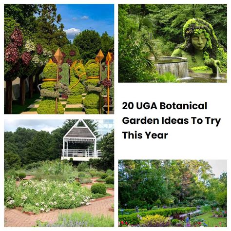 20 Uga Botanical Garden Ideas To Try This Year Sharonsable