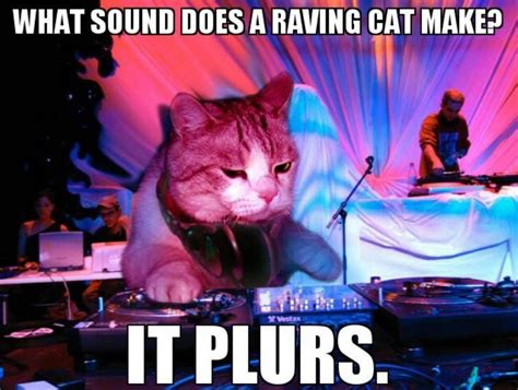 Cat Popping Sound Meme Meme Mania
