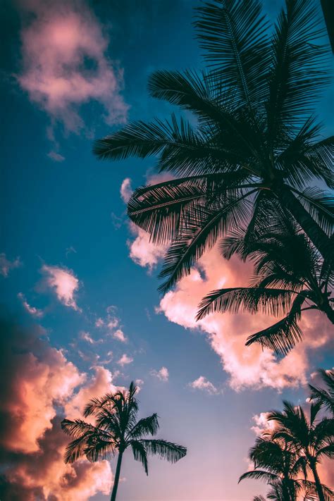 tropical art background