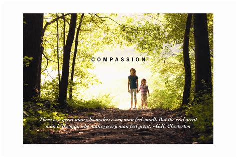Compassion For Others Quotes Quotesgram