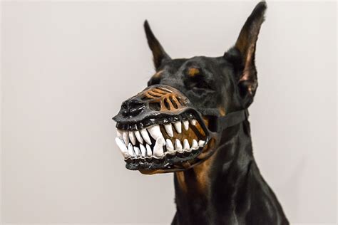 Pet T Werewolf Dog Muzzle Scary Doberman Muzzle Bloodless Etsy