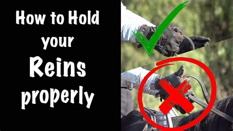 How To Hold And Use Your Reins Properly Youtube