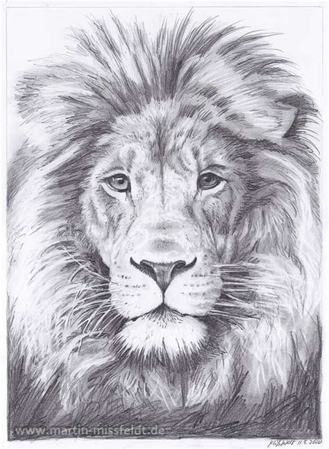 Today we are showcasing some mesmerizing pencil drawings that will take your heart away. Lions Head (realistic pencil drawing)