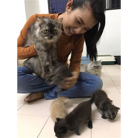 30 Ekor Kucing Dalam Hidup Zara Zya Hiburan Mstar