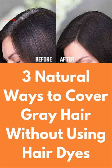 For blondes, one of the best natural ways to cover gray hairs is with lemon. 3 Natural Ways to Cover Gray Hair Without Using Hair Dyes ...