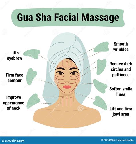 How To Do Gua Sha Massage Infographic Facial Massage Direction Scheme Stock Vector
