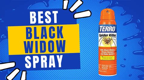 Best Black Widow Spray