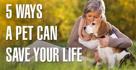 5 Ways A Pet Can Save Your Life Alive65