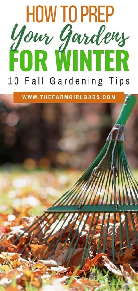 Fall Gardening Tips How To Get Your Gardens Ready For Winter Autumn