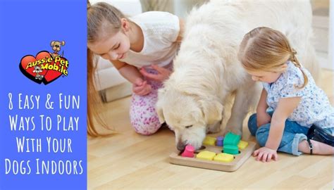 8 Easy And Fun Ways To Play With Your Dogs Indoors Aussie Pet Mobile