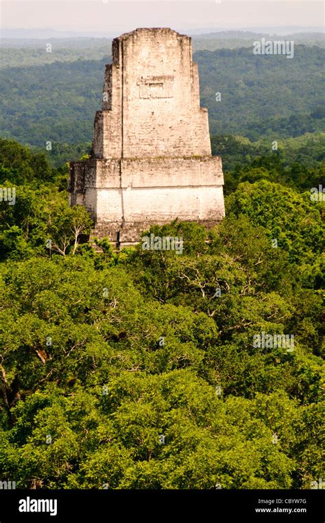 Tikal Guatemala Vista De Las Ruinas Mayas De Tikal Y El Dosel De La Selva Desde Lo Alto Del
