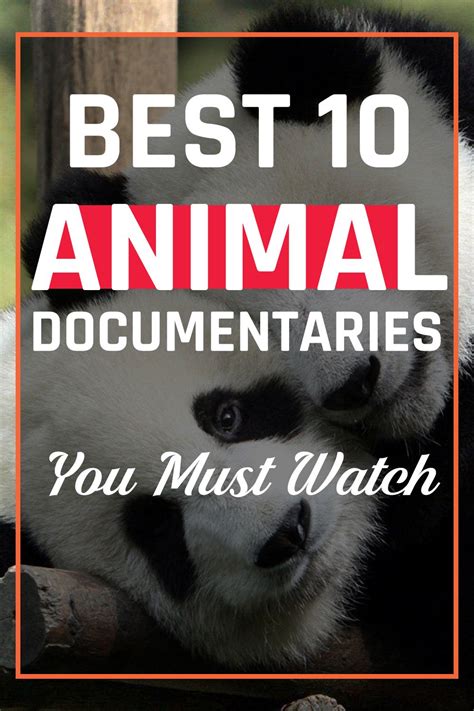 Best 10 Animal Documentaries You Must Watch Scary Documentaries