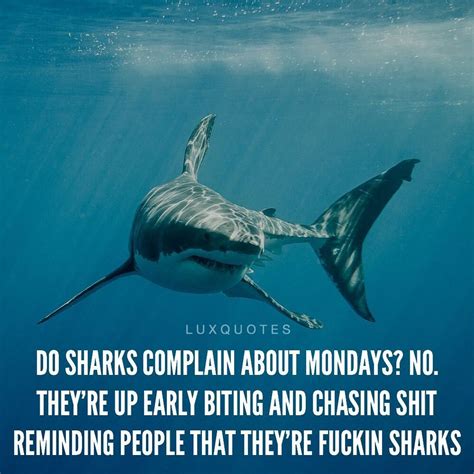 July 22 Is Shark Week Inspirational Quotes Pictures Inspirational