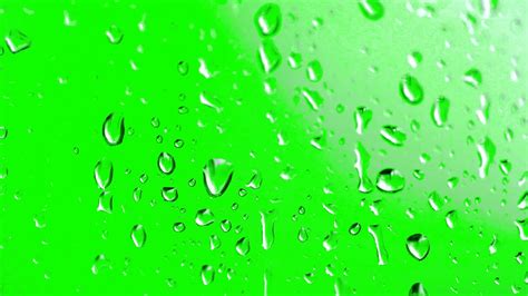 Check spelling or type a new query. FREE HD Green Screen - WATER DROPS ON GLASS - YouTube