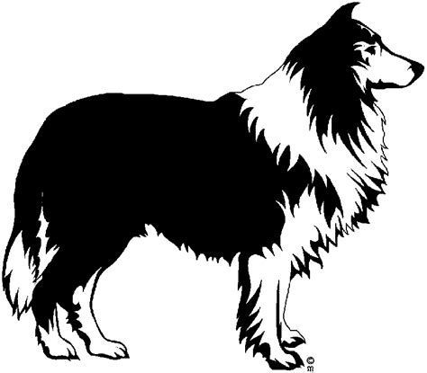 Free Collie Cliparts Download Free Collie Cliparts Png Images Free