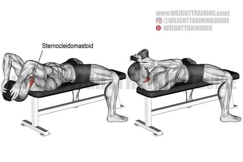 Lying Weighted Neck Flexion Exercise Instructions And Video