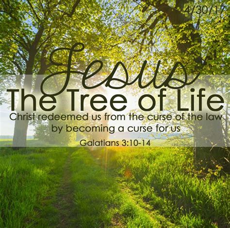 Jesus Tree Of Life 778x770 United Faith Church