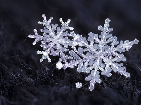 Wallpaper Snowflakes Ice Crystals Winter 1920x1440 Hd Picture Image