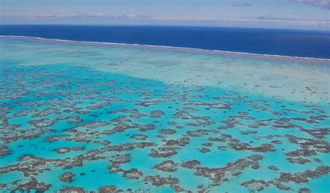 Beyond Gorgeous Great Barrier Reef 46 Pics