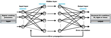 Structure Of Back Propagation Artificial Neural Networks Bp Anns