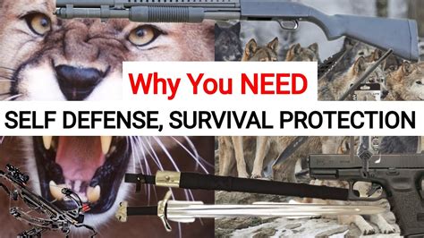 Buy Self Defense Weapons Before Ww3 Begins Cougars Bears Wolves In