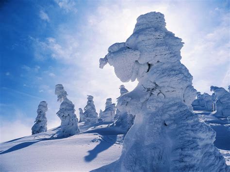 Snow Covered Trees On Top Of A Mountain Under A Blue Sky