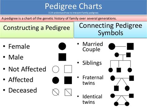 Visual paradigm's online pedigree chart software makes has all the pedigree chart symbols and connectors you need to create professional pedigree chart. Genetics - Grade 11: Biology - LibGuides at Upper Canada ...