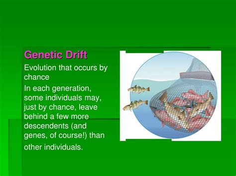 PPT - Introduction to Evolution PowerPoint Presentation, free download