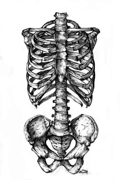 Human leg osteoarthritis inflammation of bone joints on white background. black and white, drawing, skeleton (With images) | Skeleton drawings, Anatomy art, Skeleton art