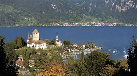 Le Lac De Thoune Oberland Bernois Photo Et Image Lac Paysage