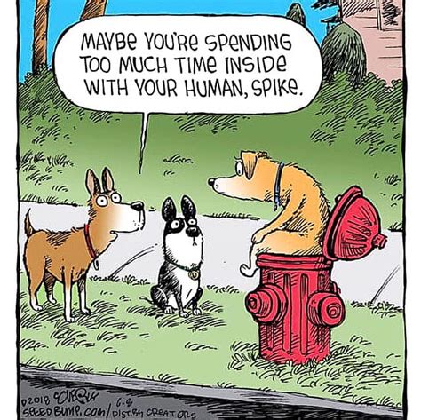 Fire Hydrant Pictures And Jokes Funny Pictures And Best Jokes Comics