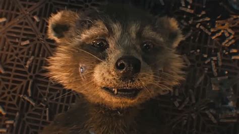 Will Rocket Die In Guardians Of The Galaxy Vol 3