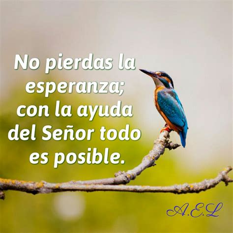 Con Dios Todo Es Posible Oasis Projects To Try Faith Facebook