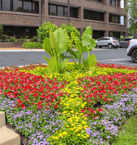 St Louis Outdoor Plantscapes Garden Designers Growing Green