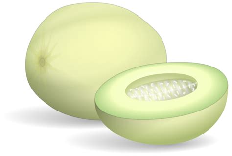 Honeydew Green Flesh Melon The Naked Seed Company