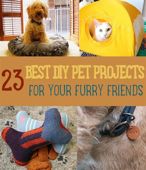 23 Awesome Diy Pet Projects To Keep Your Furry Friends Happy