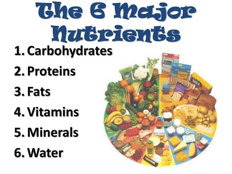 Types Of Nutrients