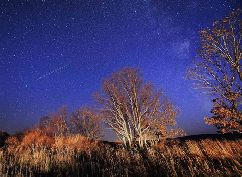 Orionid Meteor Shower 2023 When It Peaks And How To Watch It